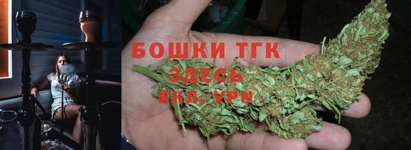 амф Богородицк