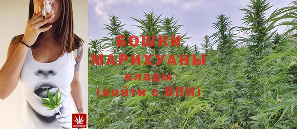 спайс Бородино