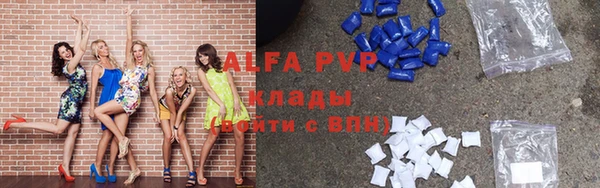 амф Богородицк
