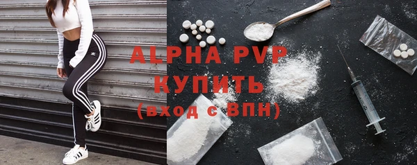 спайс Бородино