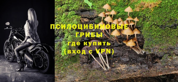 спайс Бородино