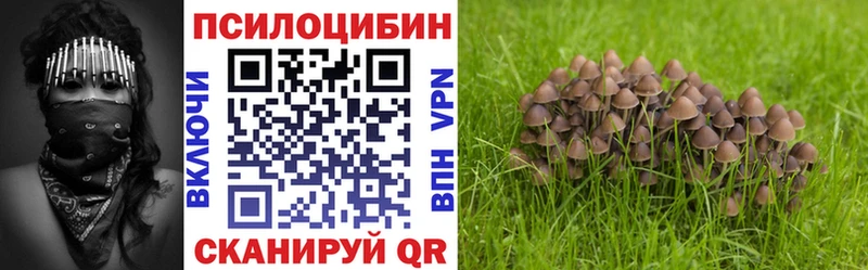цена   Малмыж  блэк спрут tor  Псилоцибиновые грибы ЛСД 
